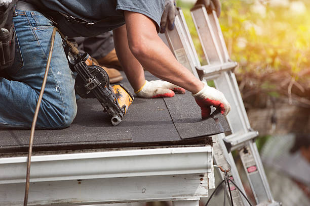 Best Roof Gutter Cleaning  in Muncy, PA