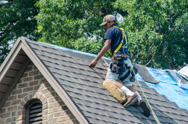 Best Gutter Installation and Roofing  in Muncy, PA